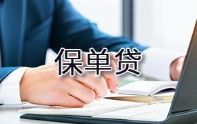临夏保单贷